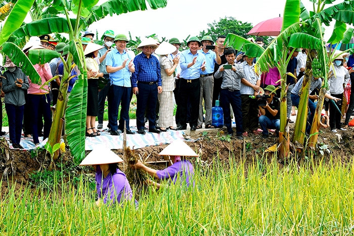 Hai Duong people engage in multi-layered, multi-valued agriculture
